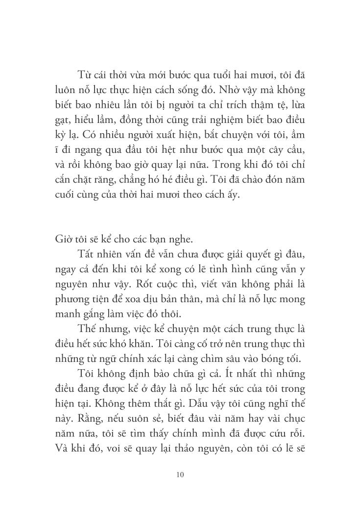 lắng nghe gió hát - Ảnh 4