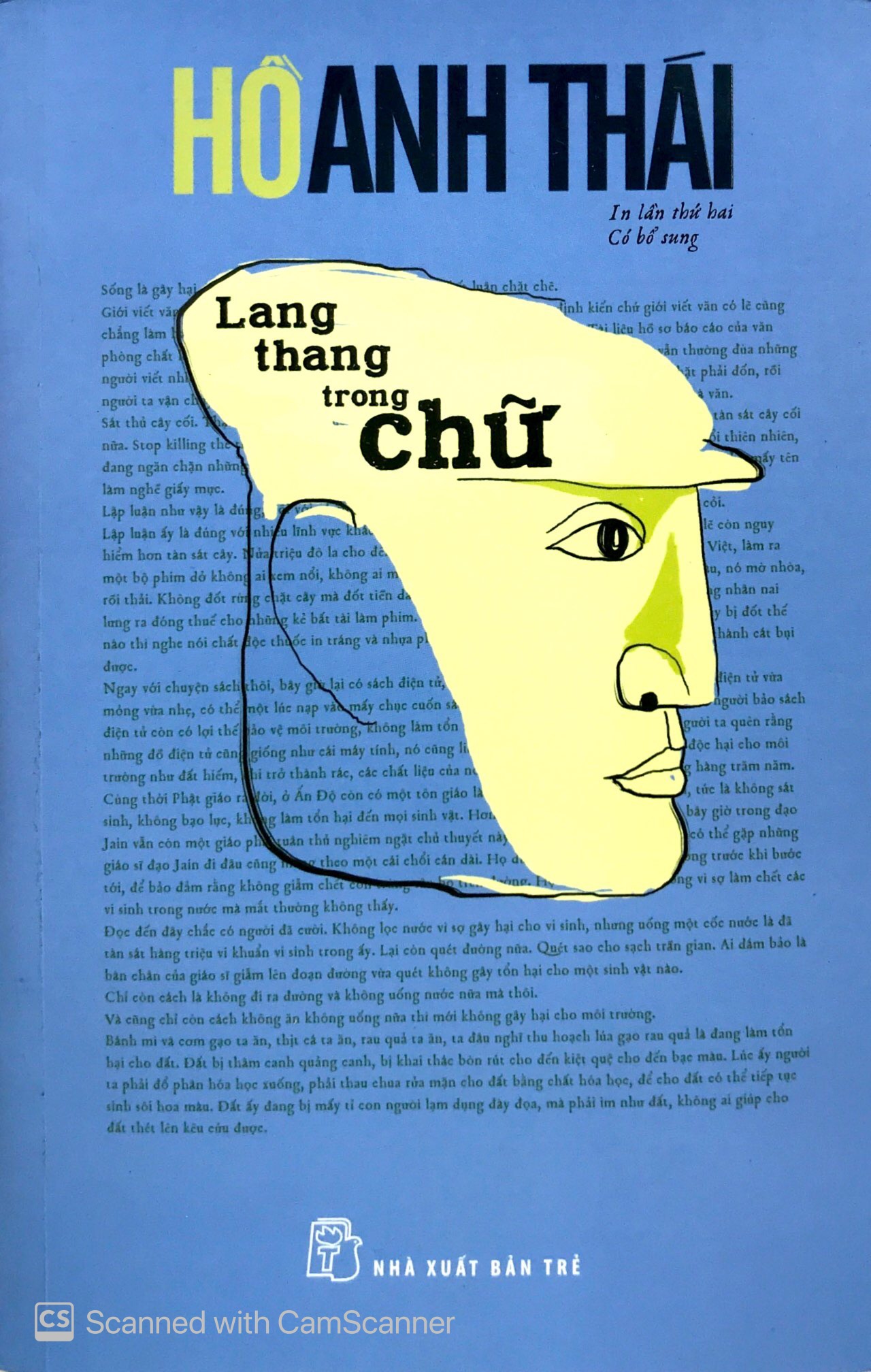 lang thang trong chữ (tái bản 2019) - Ảnh 2