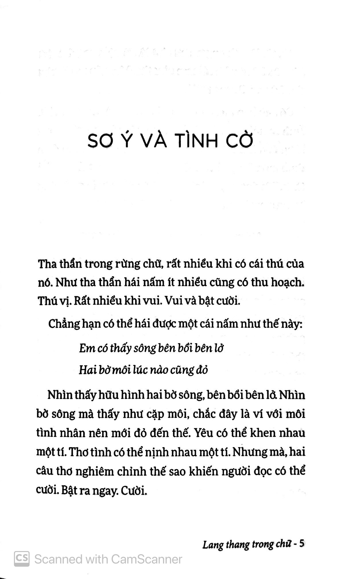 lang thang trong chữ (tái bản 2019) - Ảnh 4