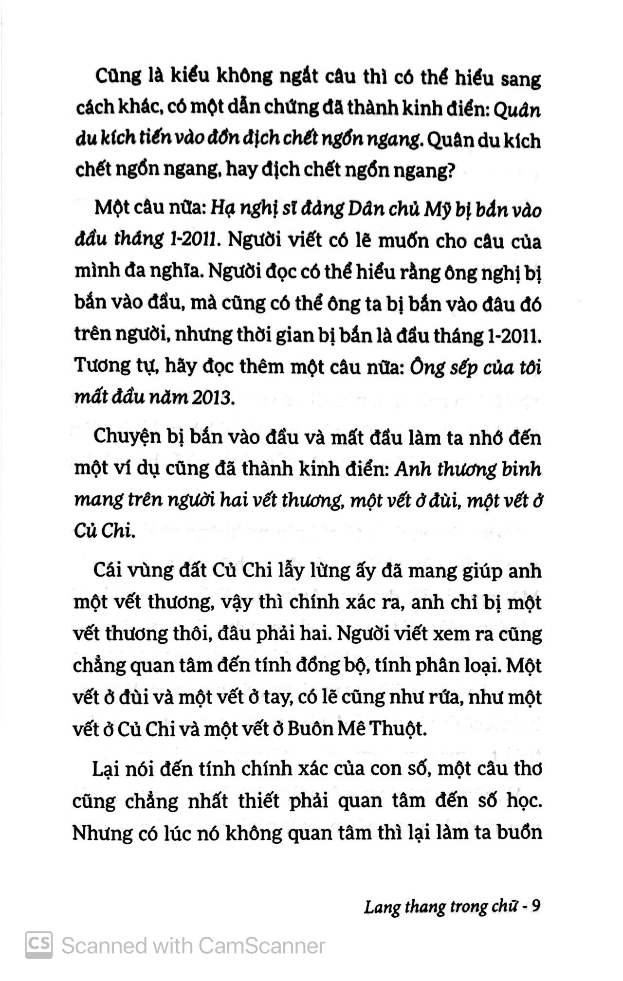 lang thang trong chữ (tái bản 2019) - Ảnh 8