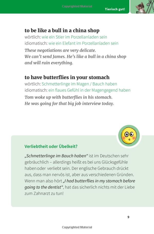 langenscheidt and pigs might fly: bildhaft sprechen mit 250 englischen redewendungen - Ảnh 5