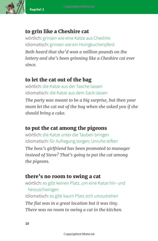 langenscheidt and pigs might fly: bildhaft sprechen mit 250 englischen redewendungen - Ảnh 6