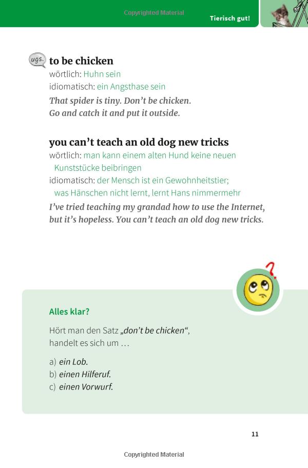 langenscheidt and pigs might fly: bildhaft sprechen mit 250 englischen redewendungen - Ảnh 7