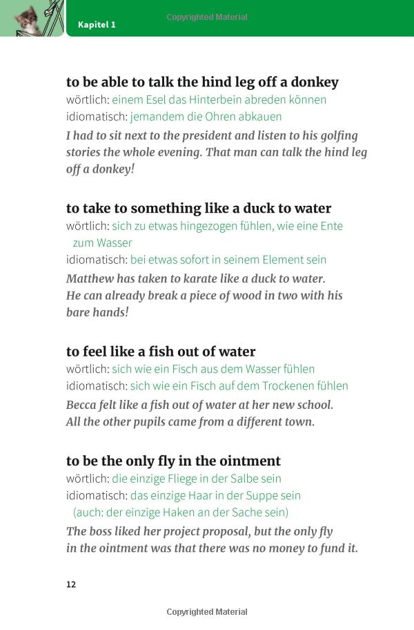 langenscheidt and pigs might fly: bildhaft sprechen mit 250 englischen redewendungen - Ảnh 8