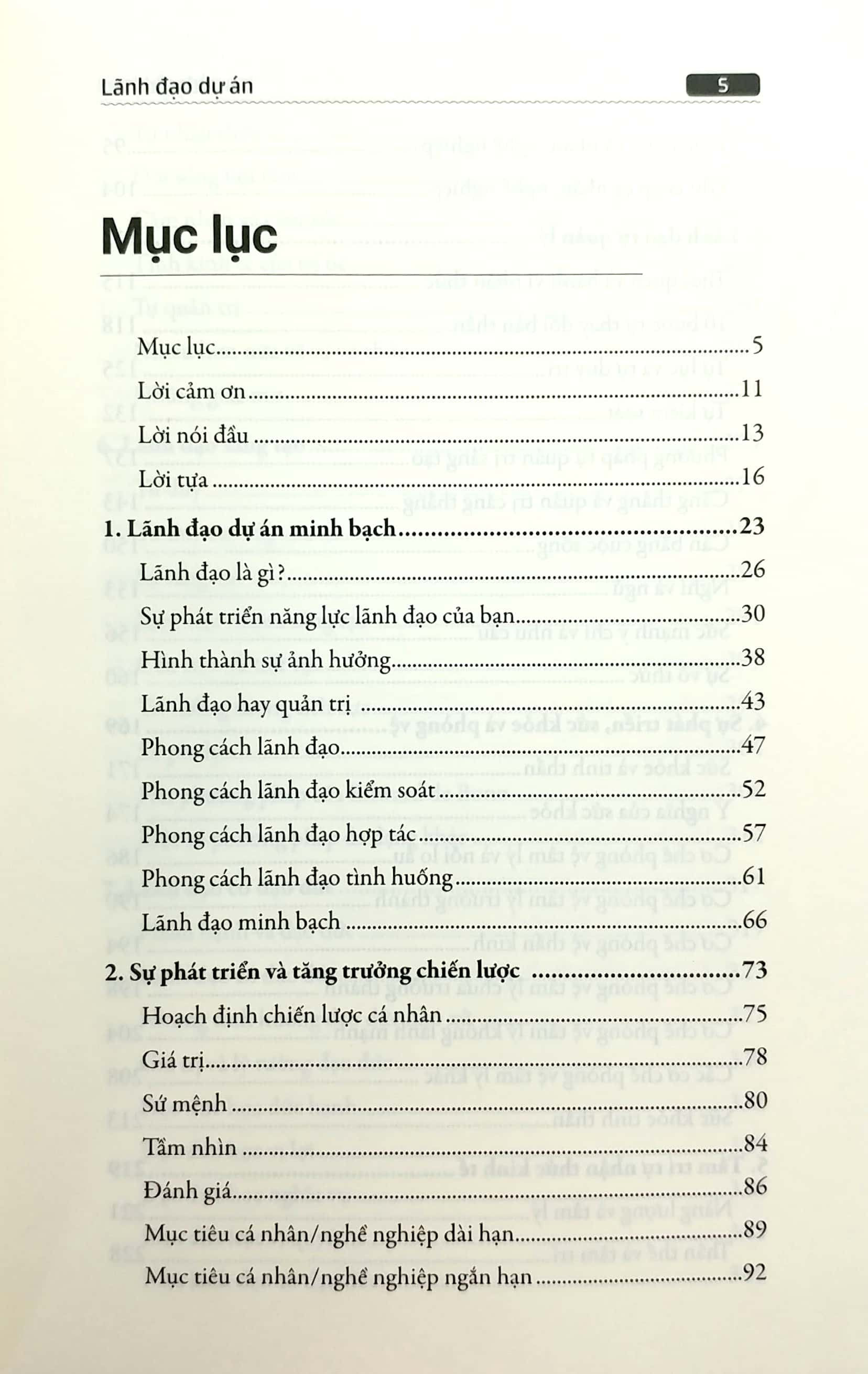 lãnh đạo dự án - Ảnh 3