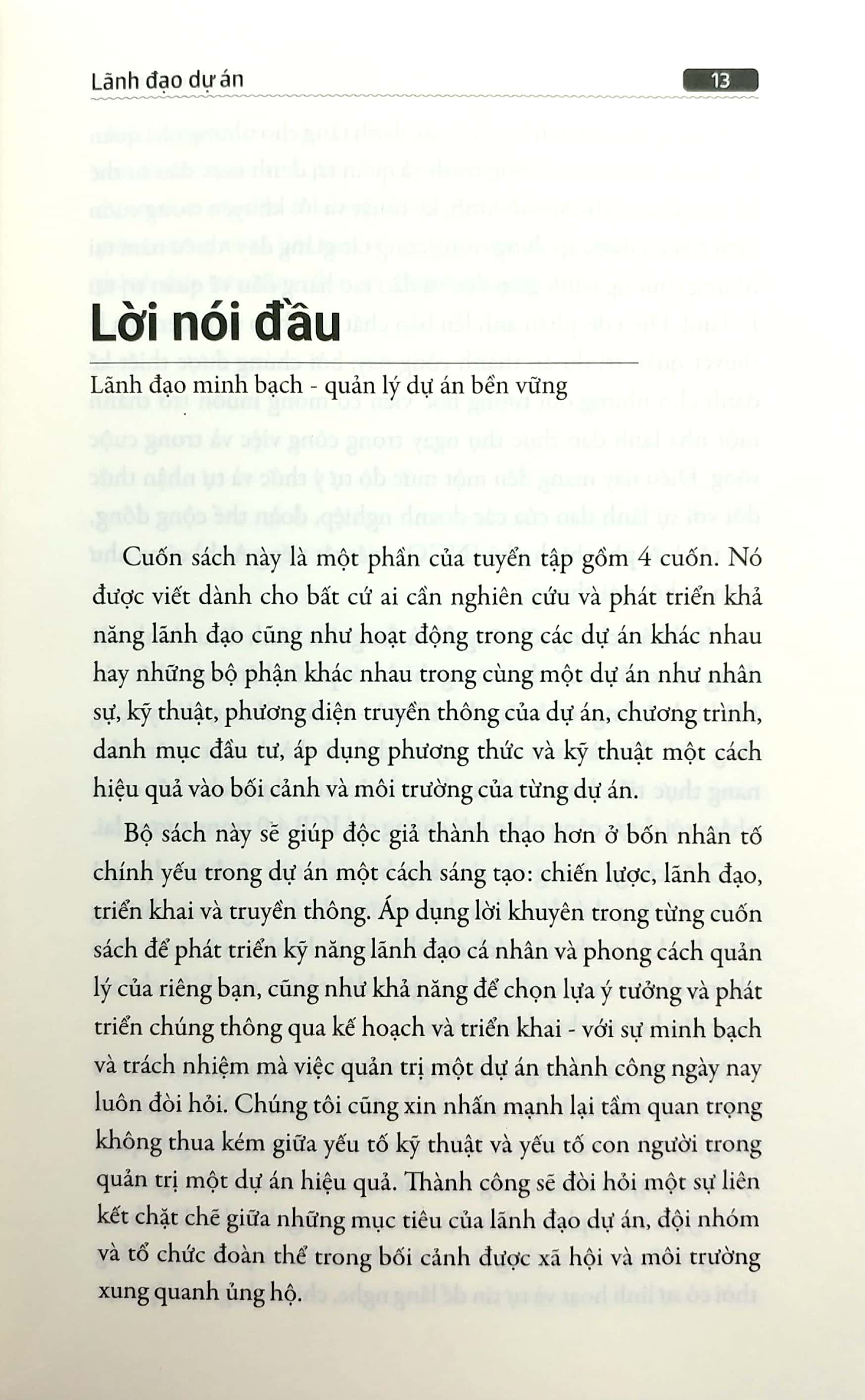 lãnh đạo dự án - Ảnh 4