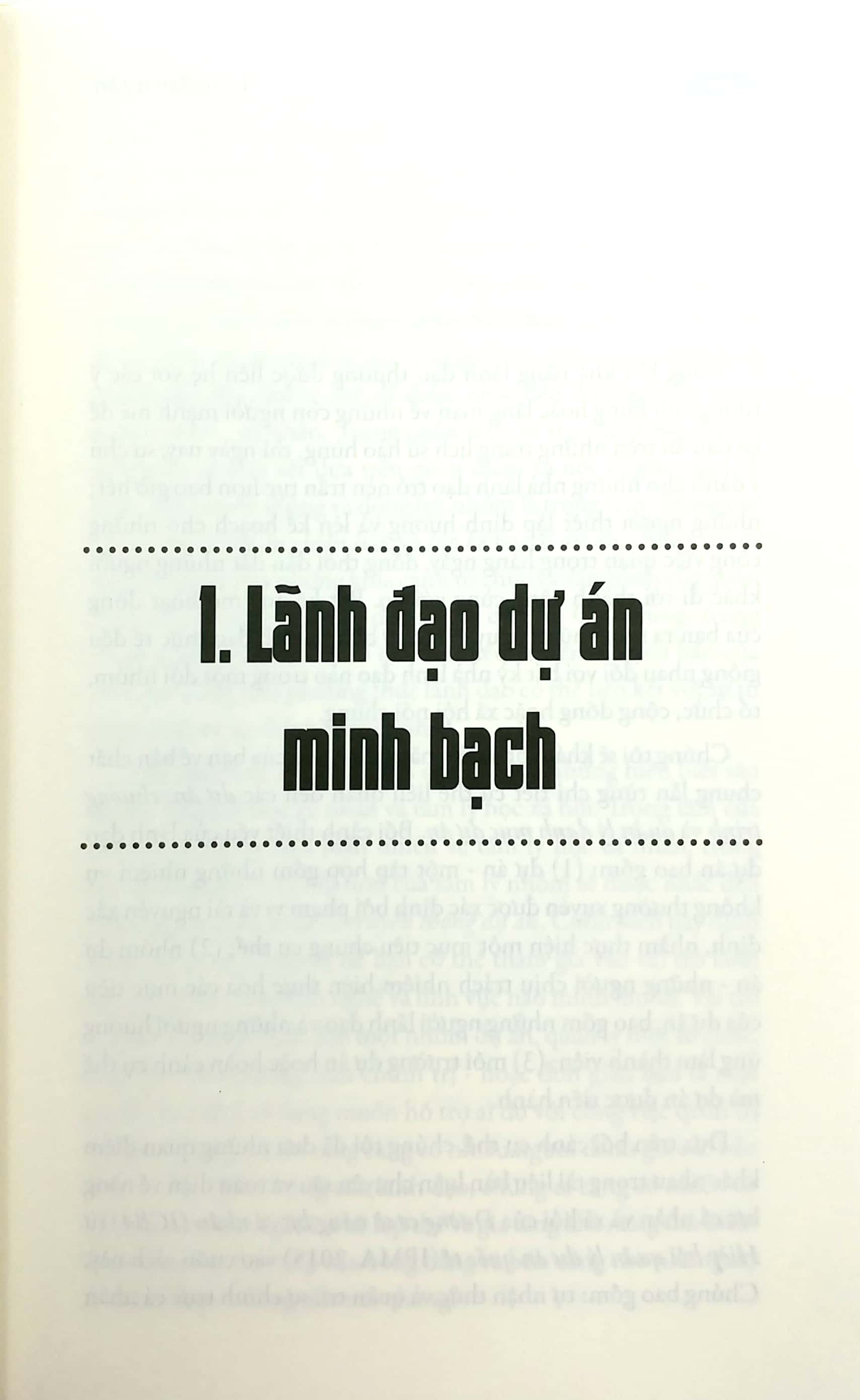 lãnh đạo dự án - Ảnh 5