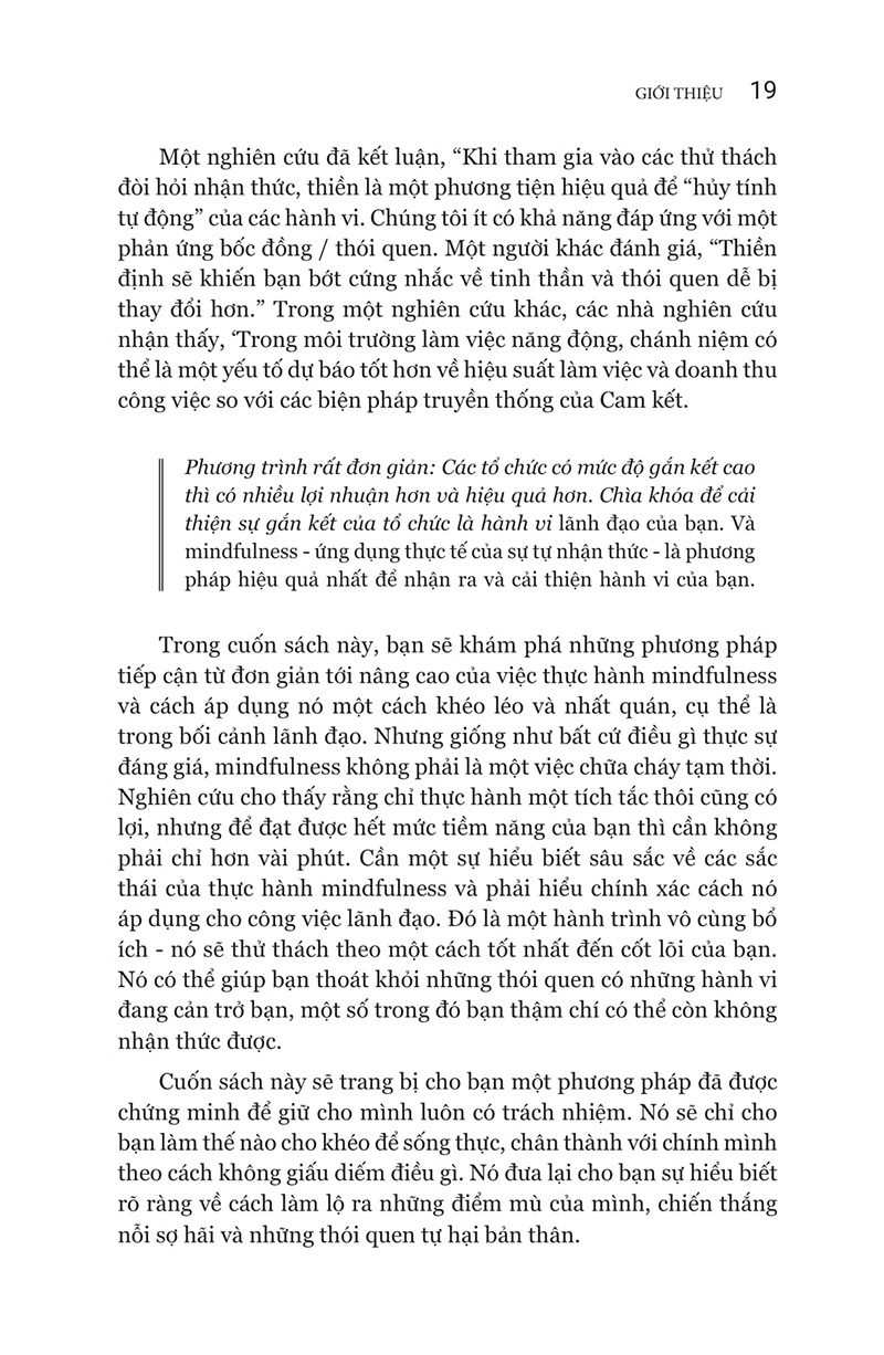 Lãnh Đạo Tỉnh Thức - The Mindful Leader - Ảnh 9