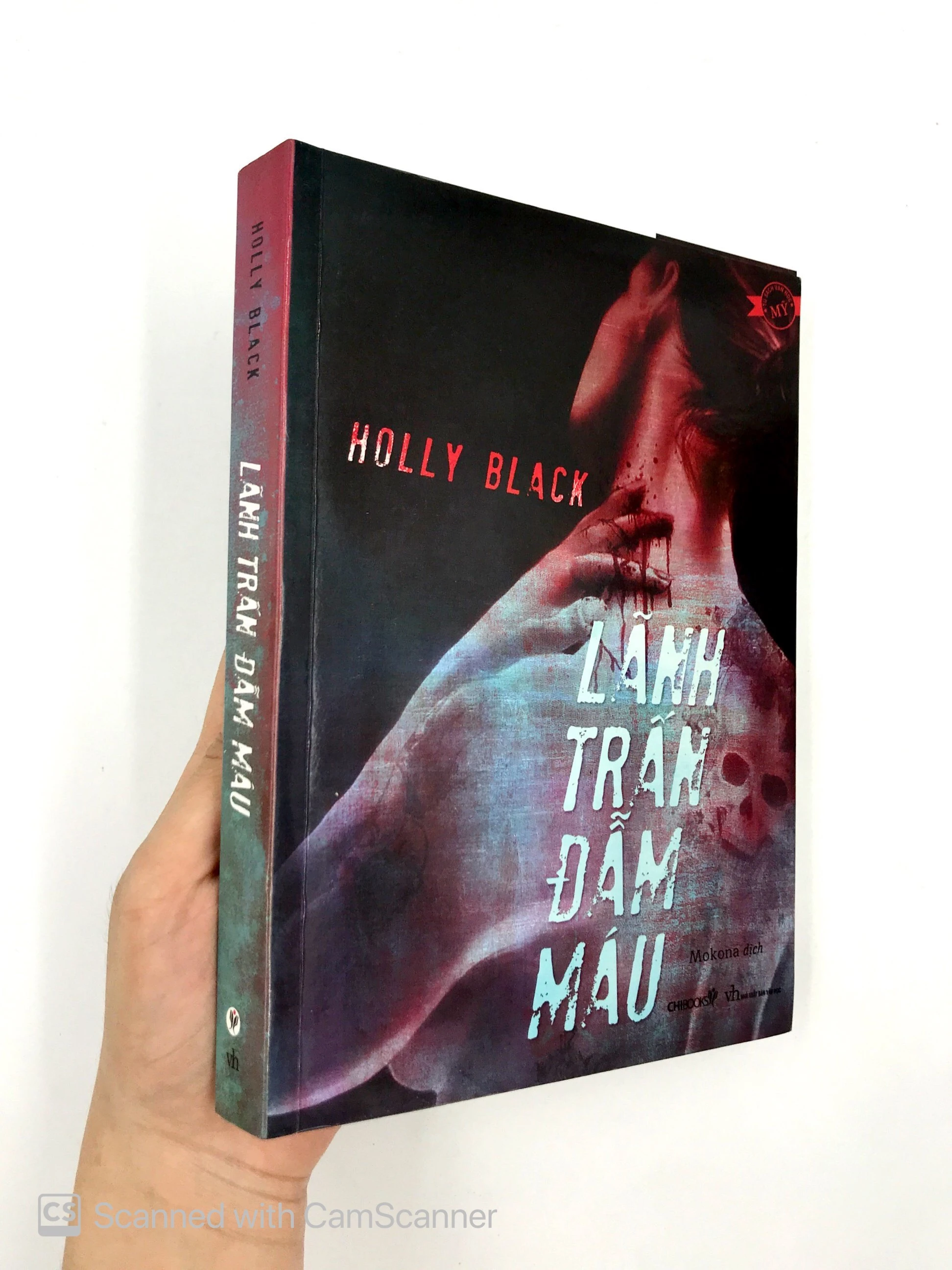 lãnh trấn đẫm máu - Ảnh 12