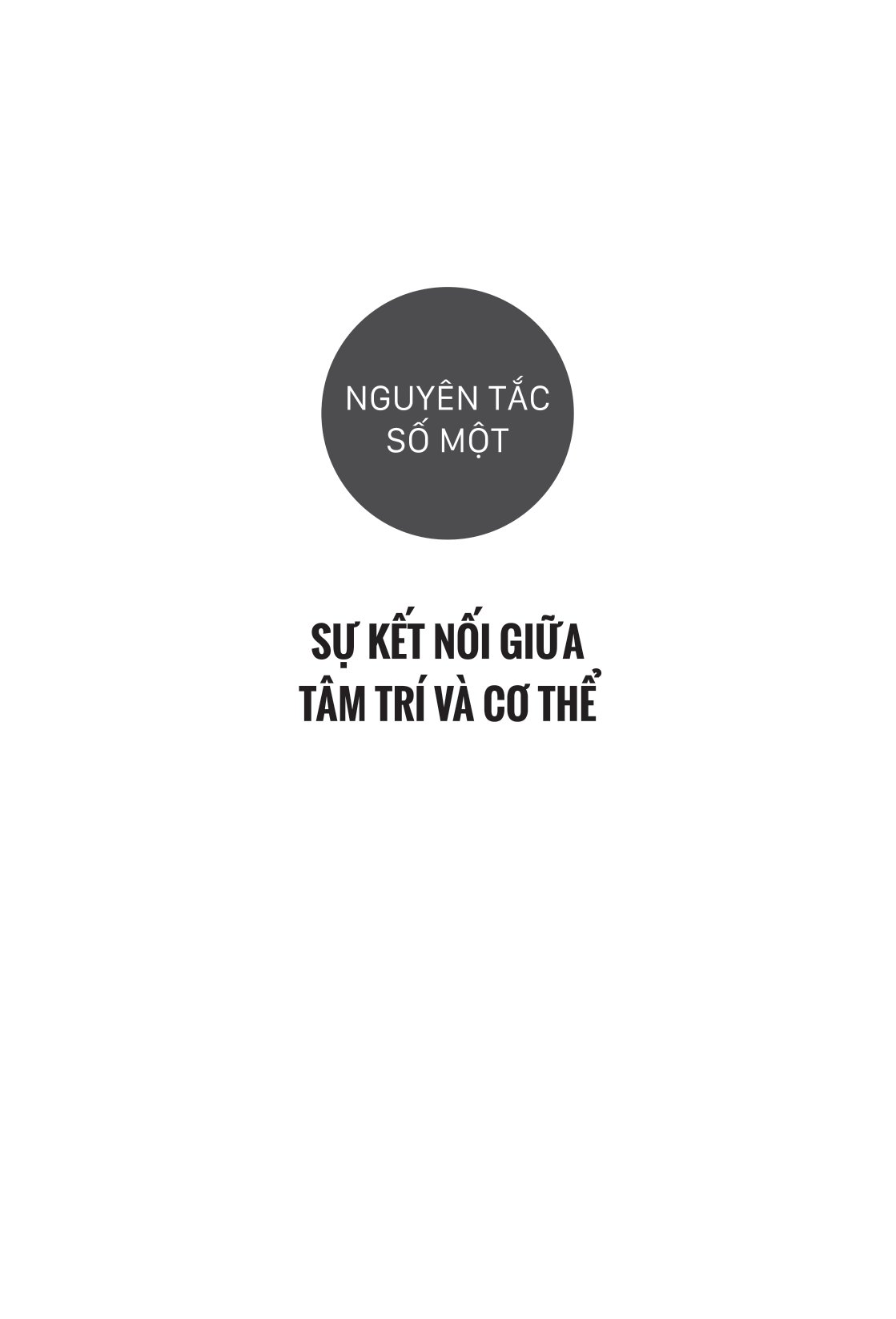 lập trình não bộ - làm chủ trí nhớ, sự tập trung, cảm xúc và giải phóng thiên tài bên trong bạn - Ảnh 12