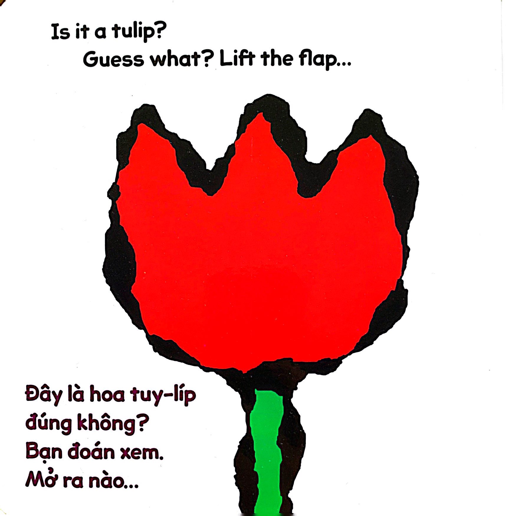 lật giở song ngữ - hoa gì thế - bìa cứng - Ảnh 3