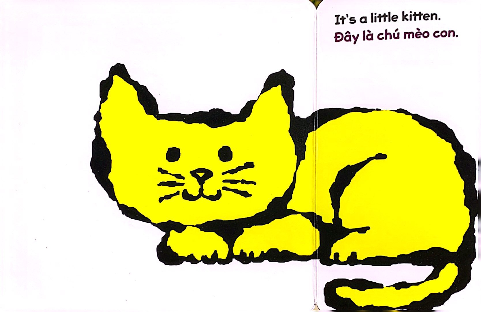 lật giở song ngữ - hoa gì thế - bìa cứng - Ảnh 4