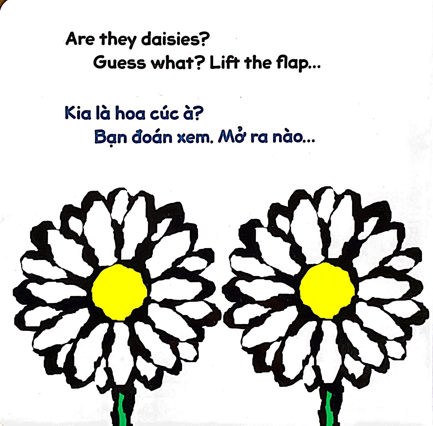 lật giở song ngữ - hoa gì thế - bìa cứng - Ảnh 5