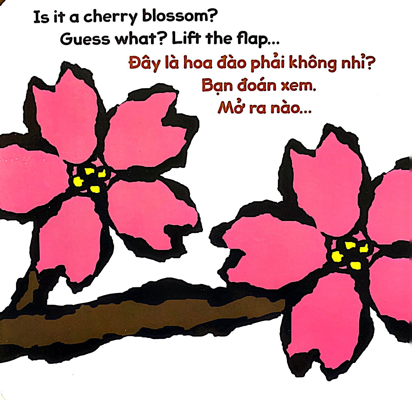 lật giở song ngữ - hoa gì thế - bìa cứng - Ảnh 7