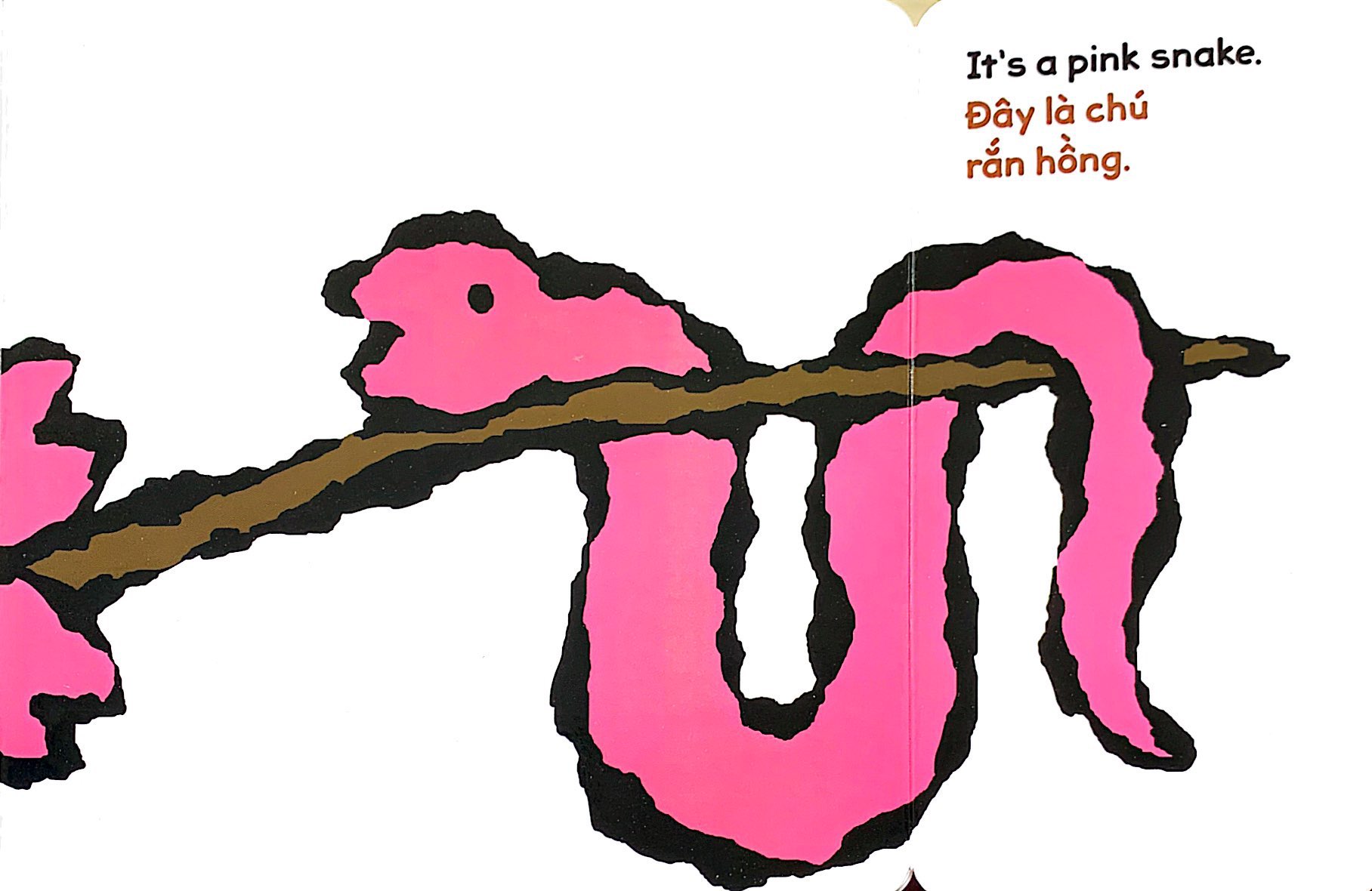 lật giở song ngữ - hoa gì thế - bìa cứng - Ảnh 8