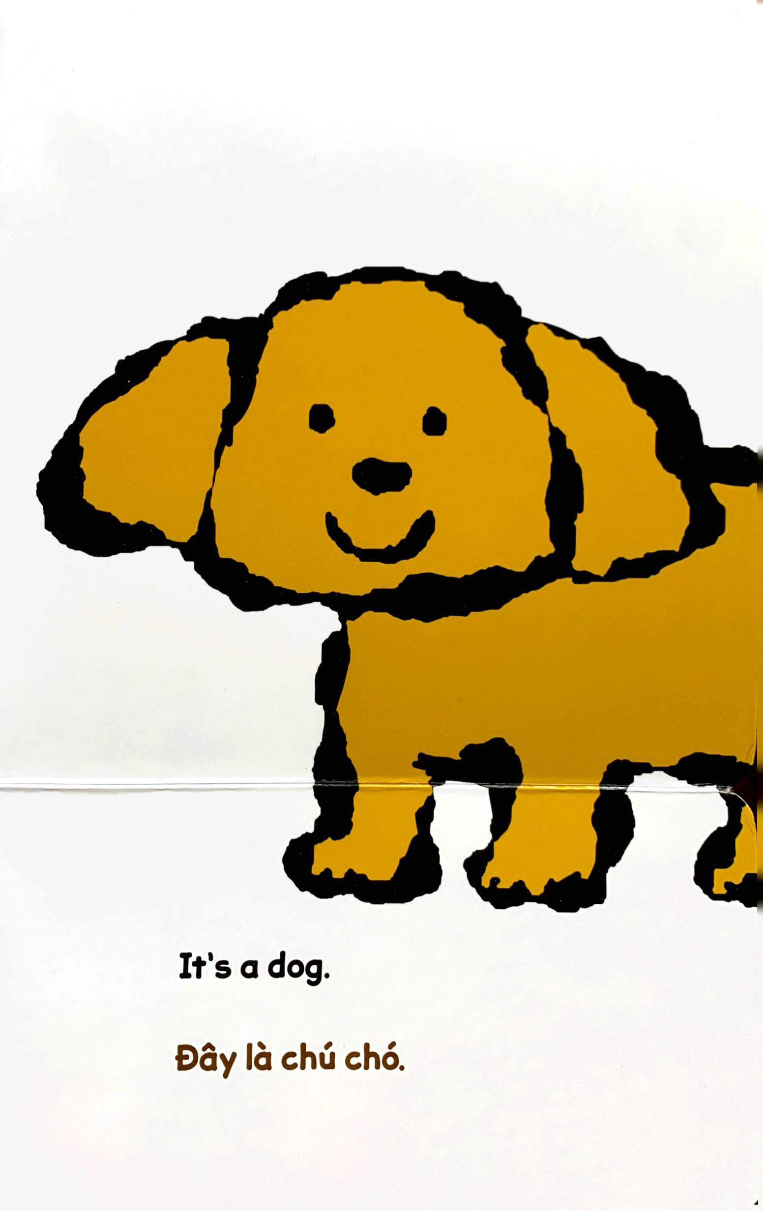 lật giở song ngữ - món gì vậy - bìa cứng - Ảnh 4