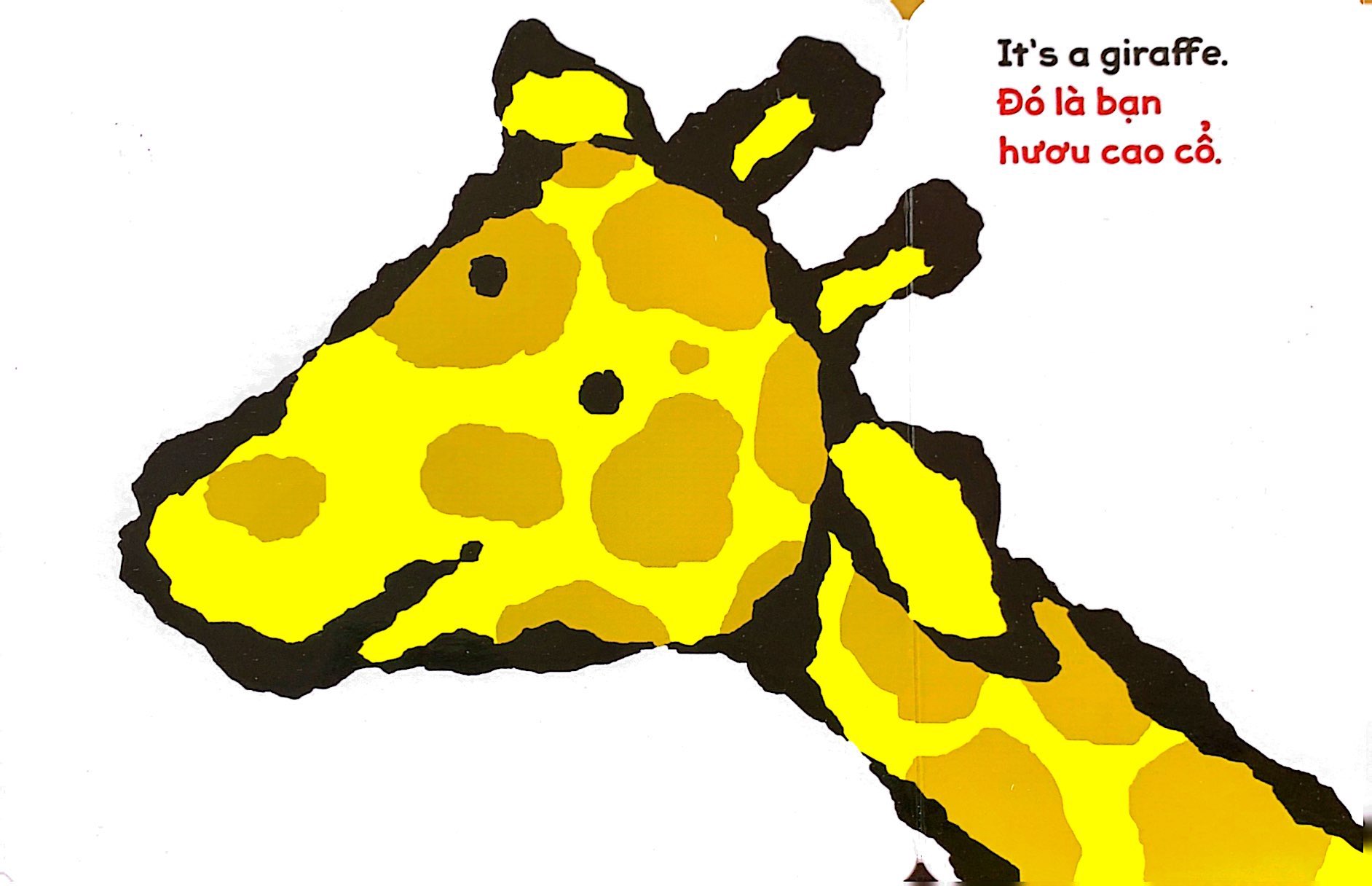 lật giở song ngữ - món gì vậy - bìa cứng - Ảnh 6