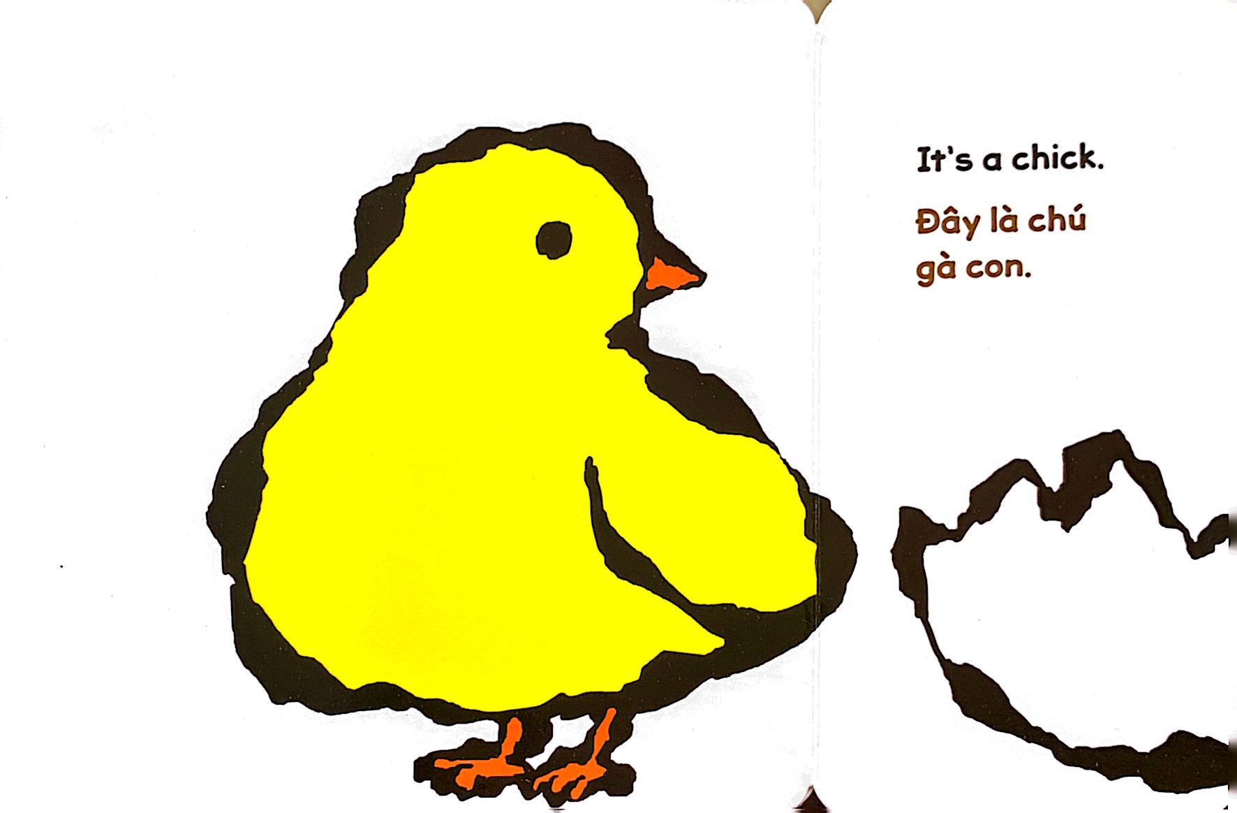 lật giở song ngữ - quả gì đây - bìa cứng - Ảnh 4