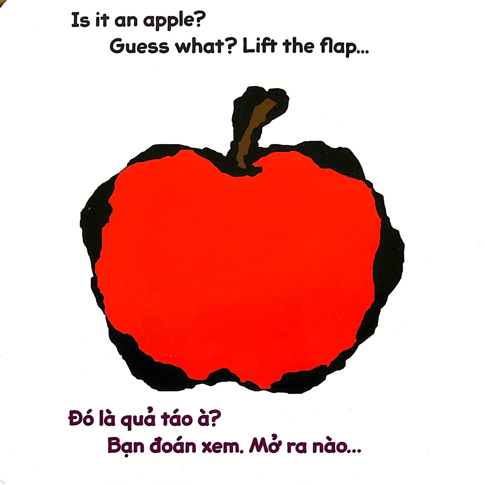 lật giở song ngữ - quả gì đây - bìa cứng - Ảnh 5