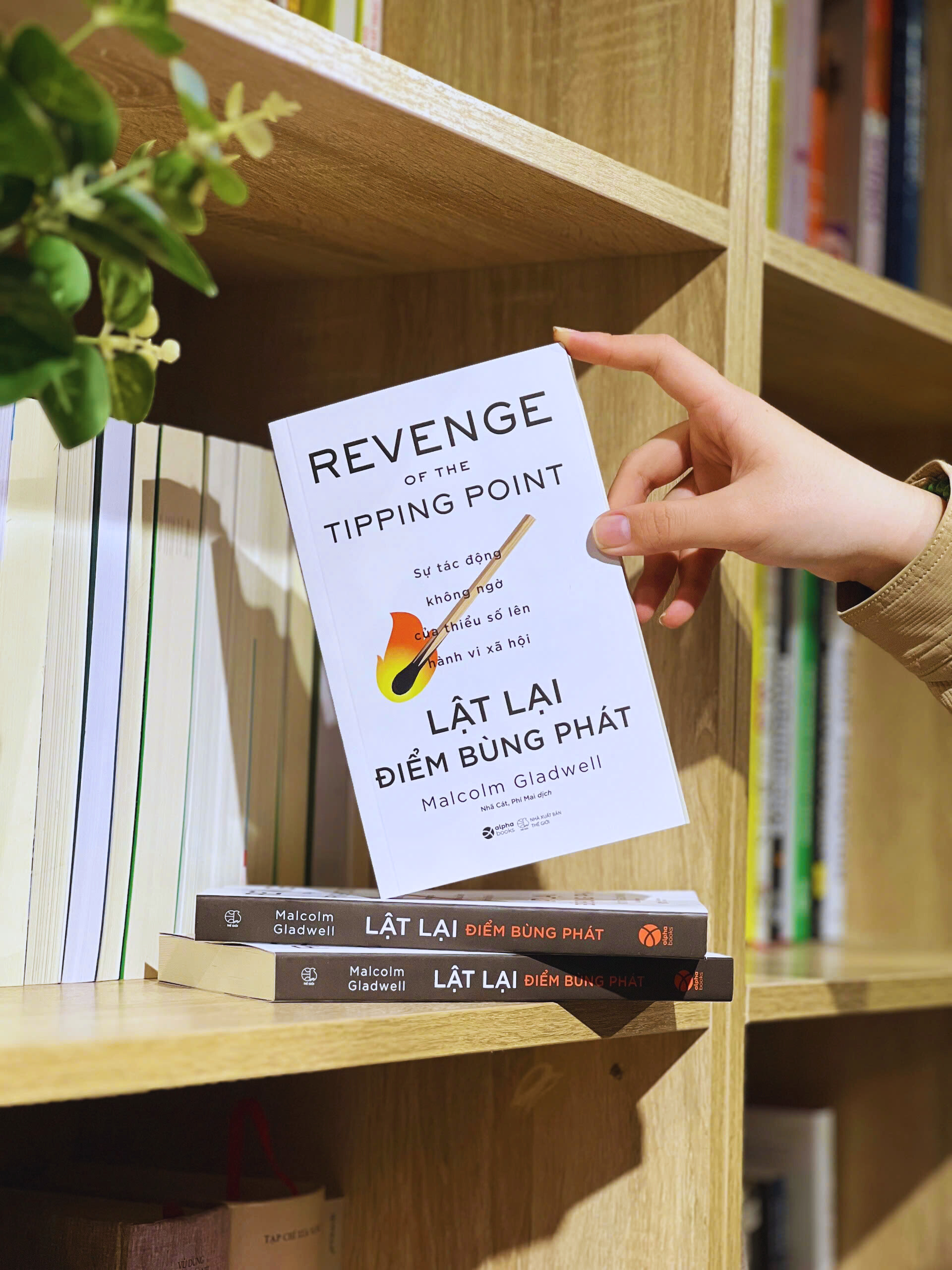 lật lại điểm bùng phát - Ảnh 4