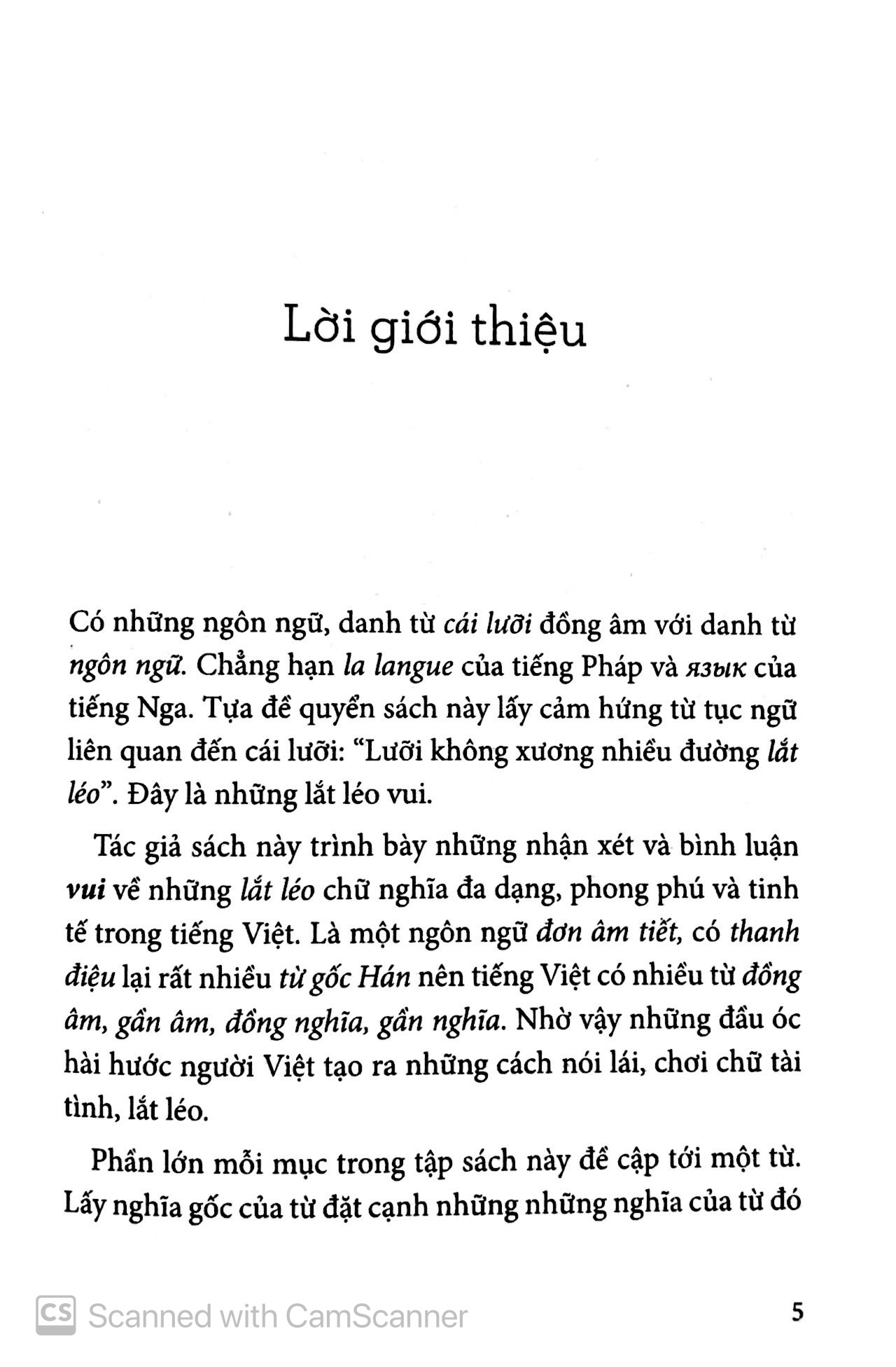 lắt léo tiếng việt - Ảnh 4