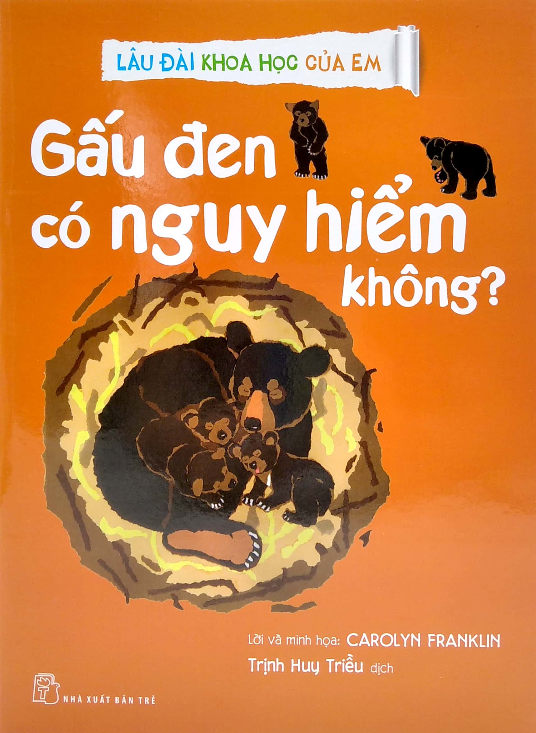 lâu đài khoa học của em - gấu đen có nguy hiểm không? - Ảnh 2