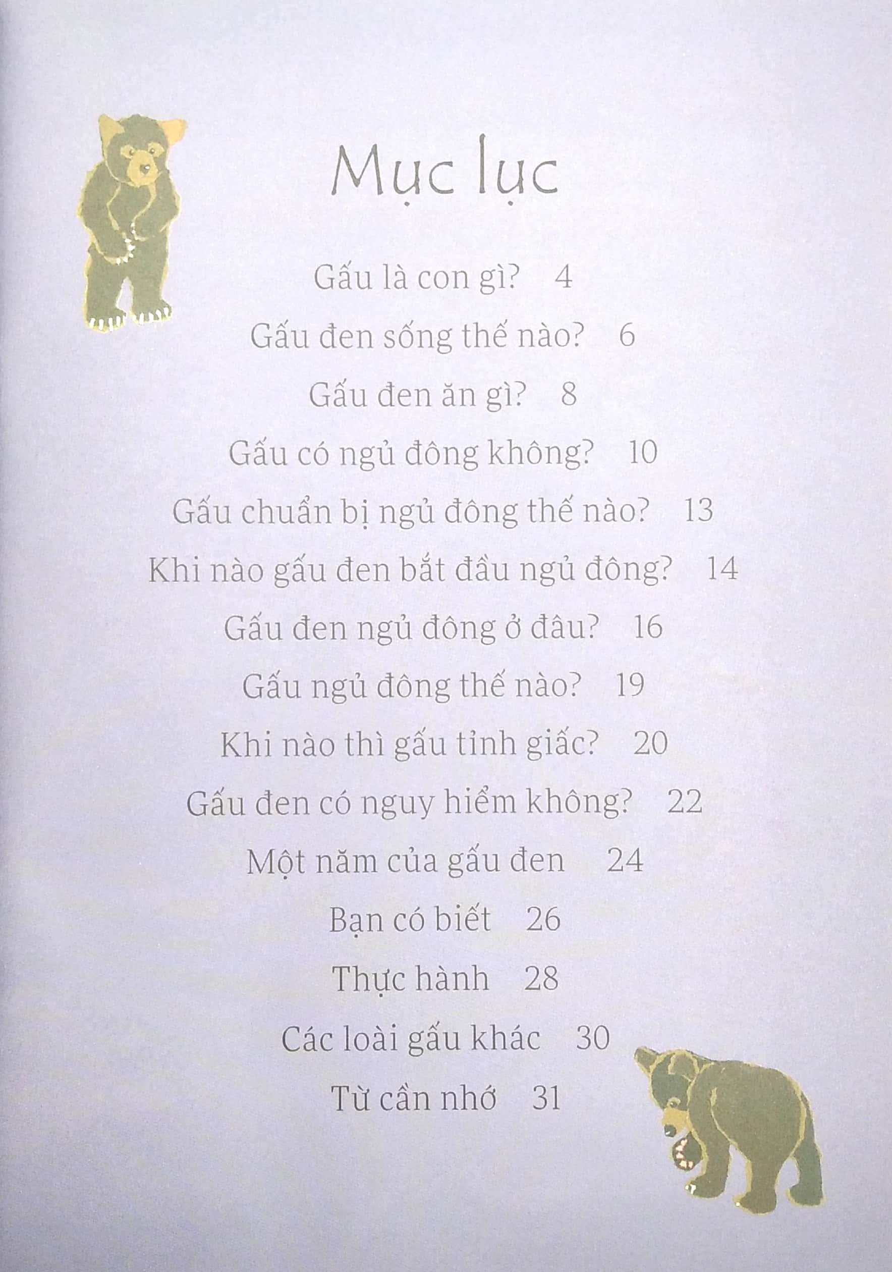lâu đài khoa học của em - gấu đen có nguy hiểm không? - Ảnh 3