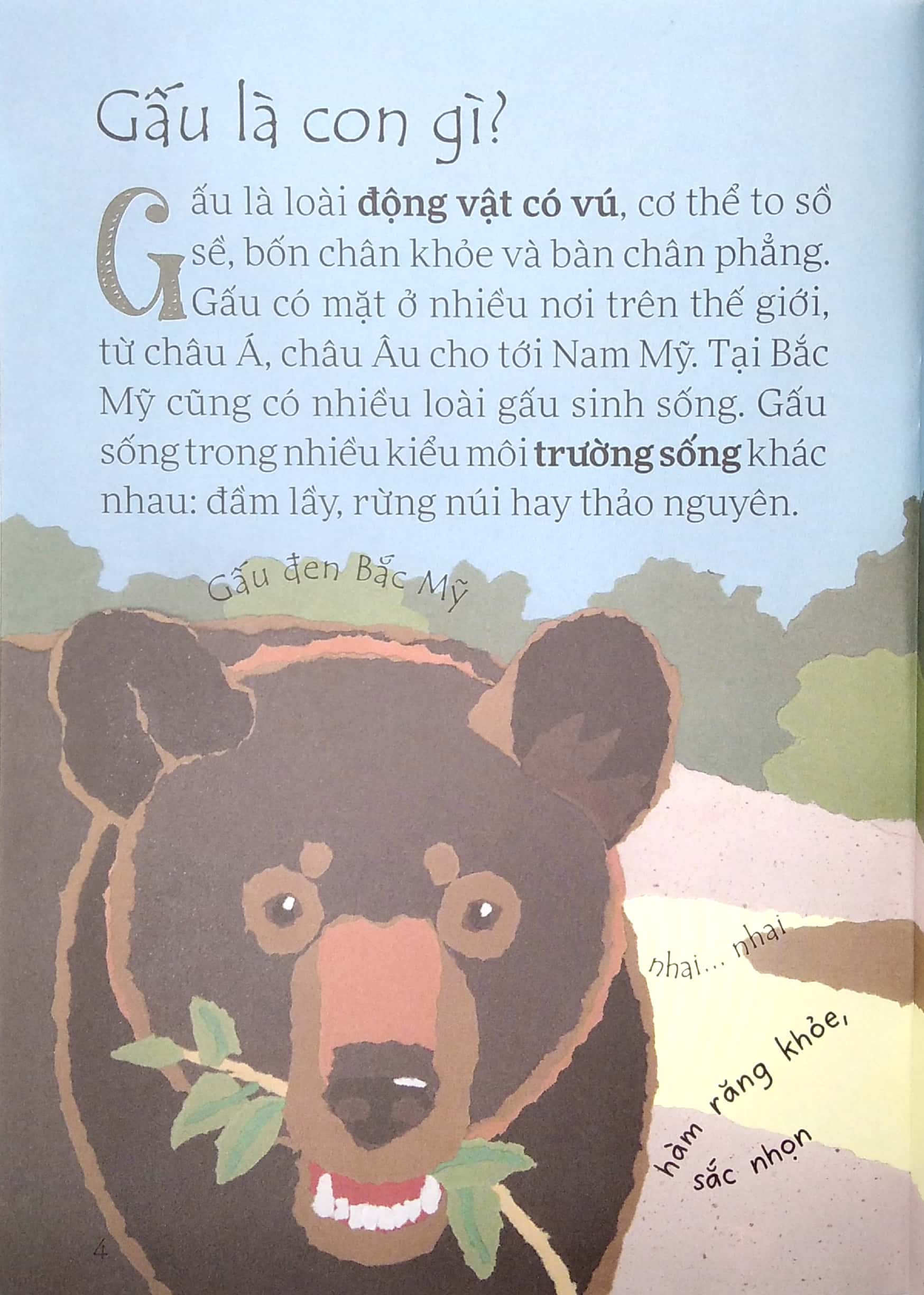 lâu đài khoa học của em - gấu đen có nguy hiểm không? - Ảnh 4