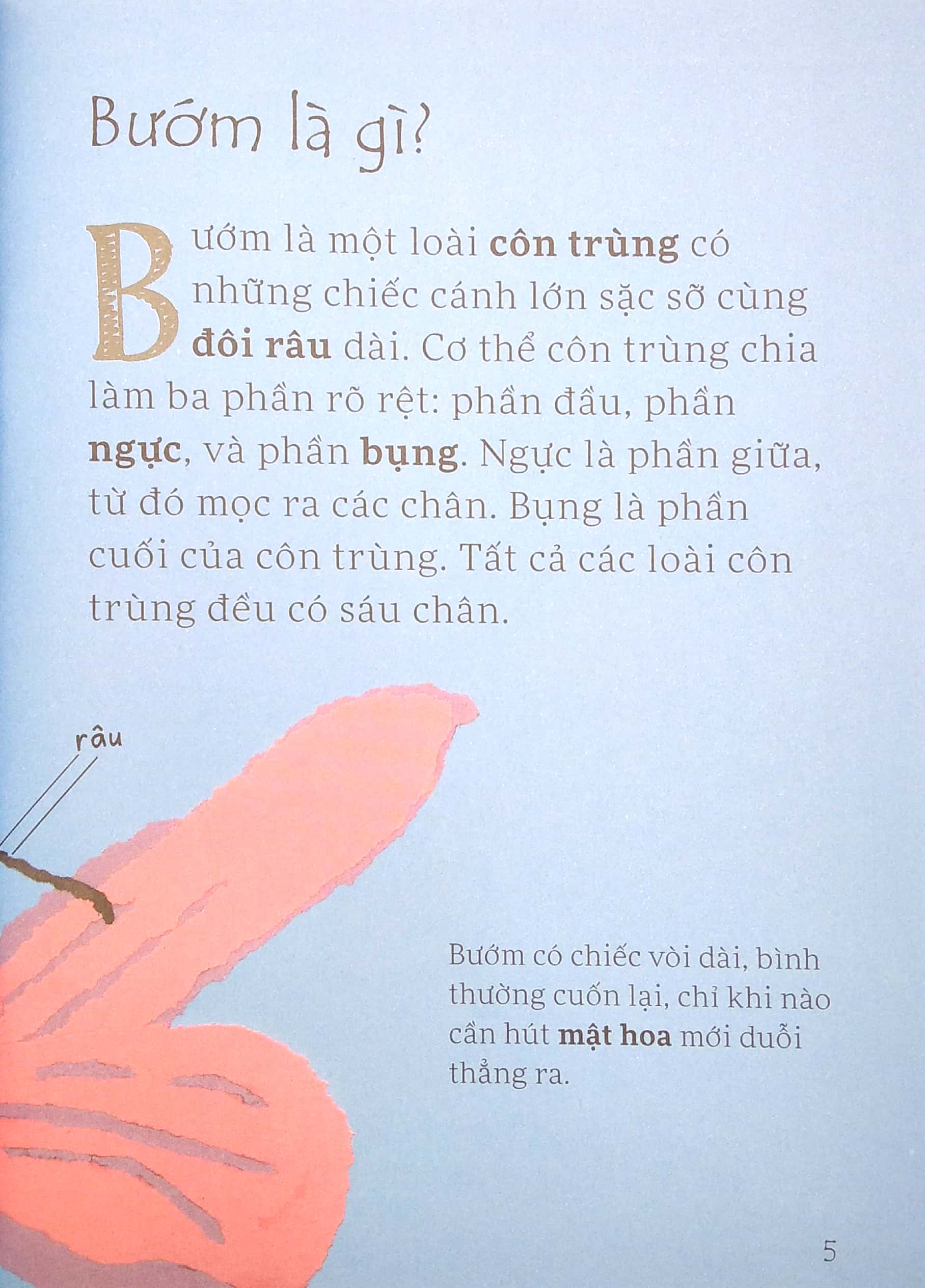lâu đài khoa học của em - tại sao bướm vua lại di cư? - Ảnh 5