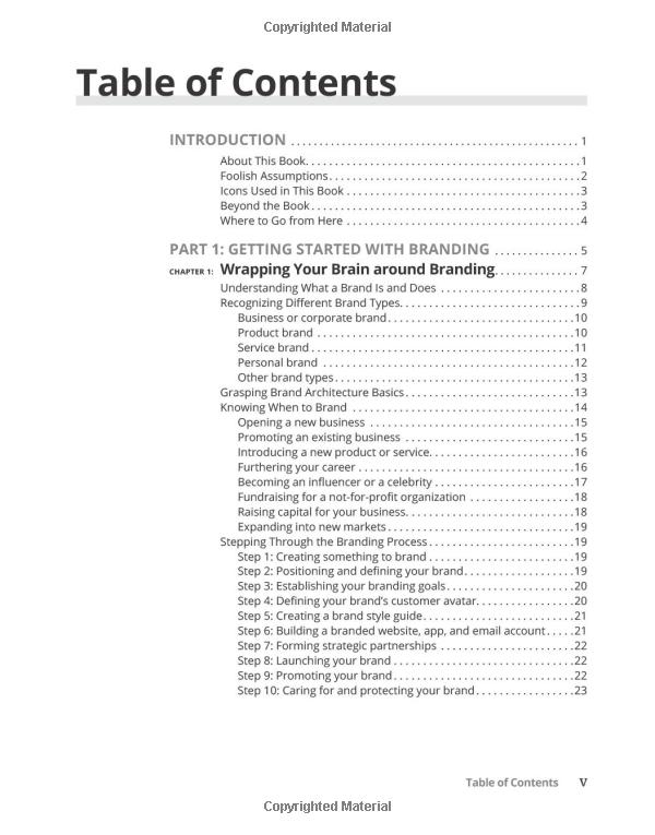 launching & building a brand for dummies - Ảnh 5