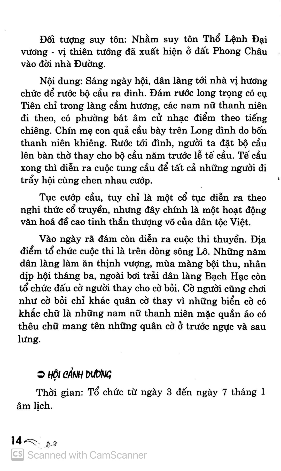 lễ tết 365 ngày - Ảnh 10