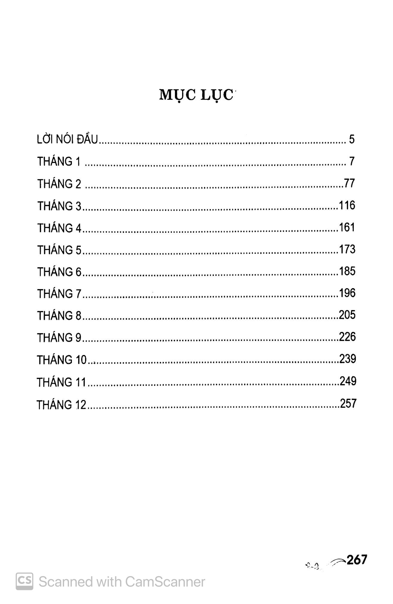 lễ tết 365 ngày - Ảnh 3