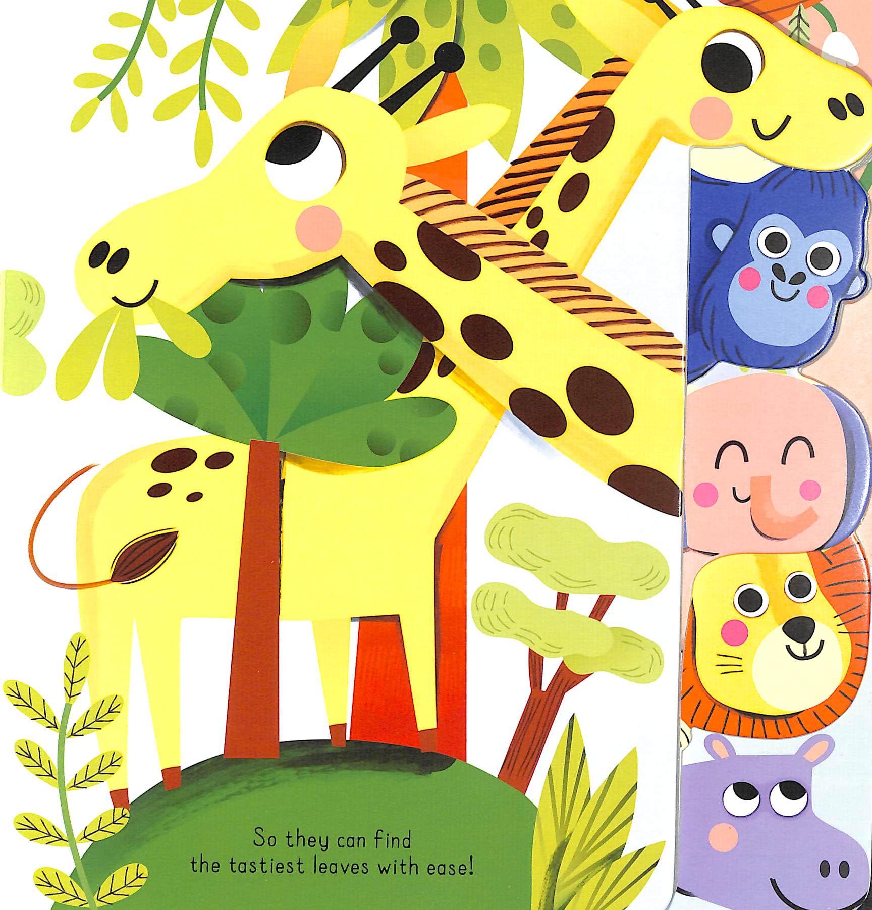 learning tab book: wild - Ảnh 4