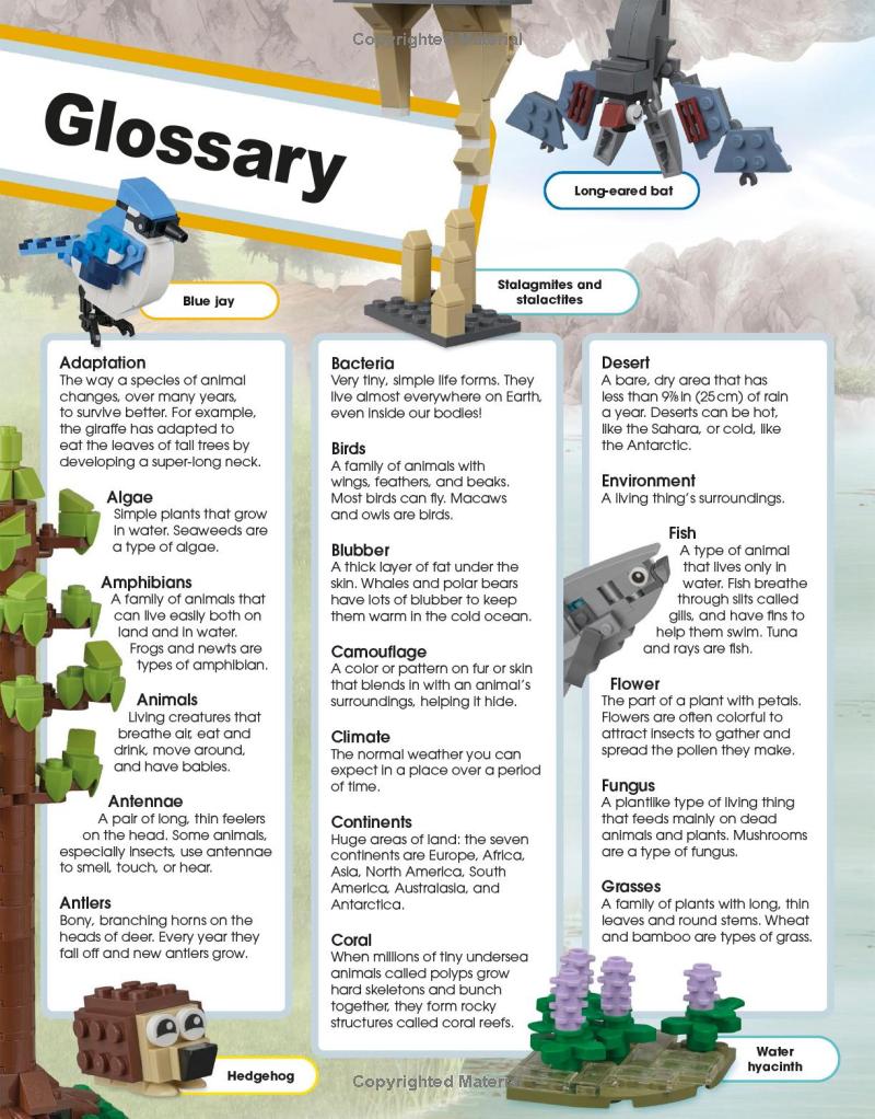 lego super nature: includes four exclusive lego mini models - Ảnh 14