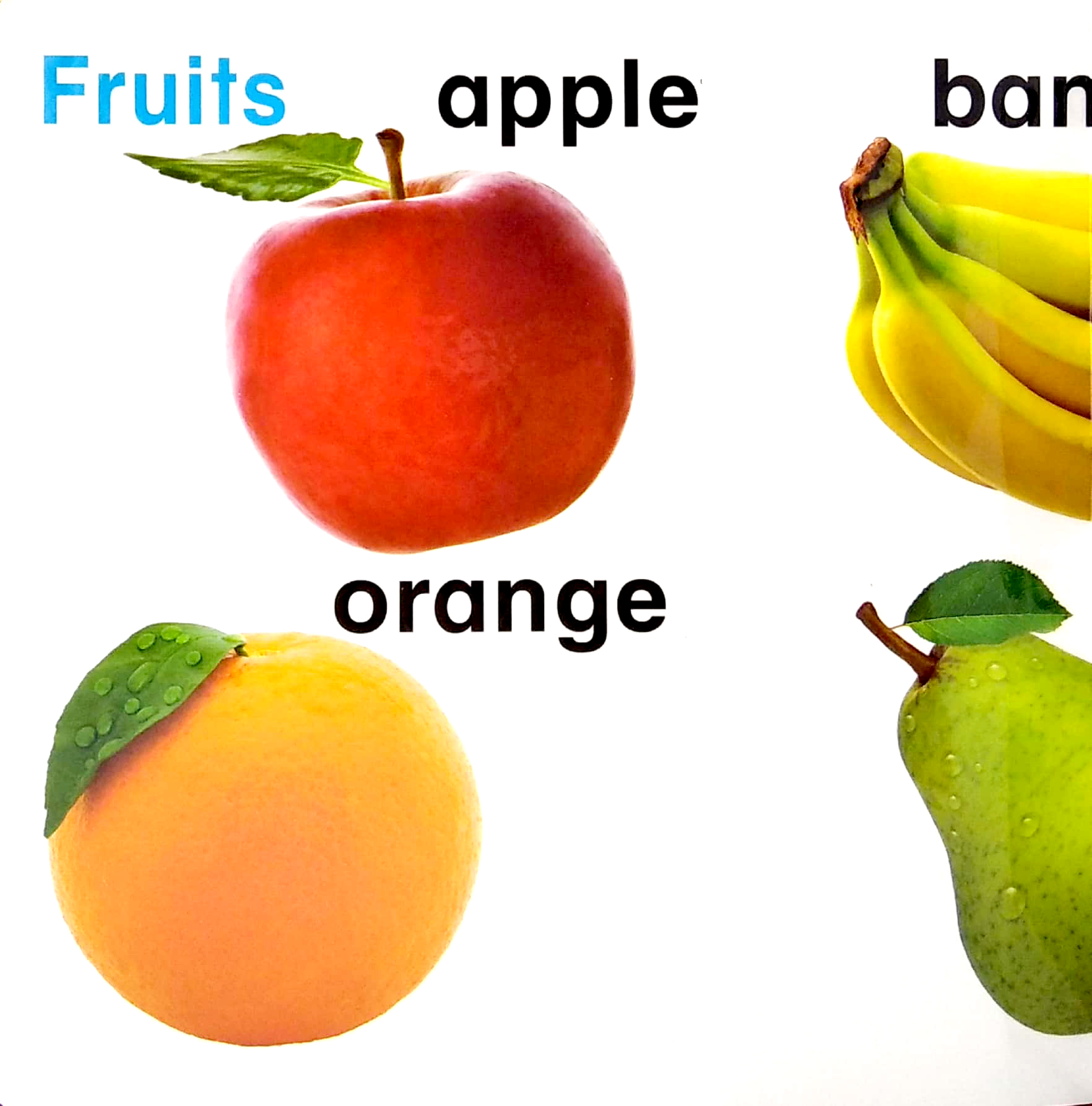 letℹs learn: fruits & vegetables - Ảnh 3