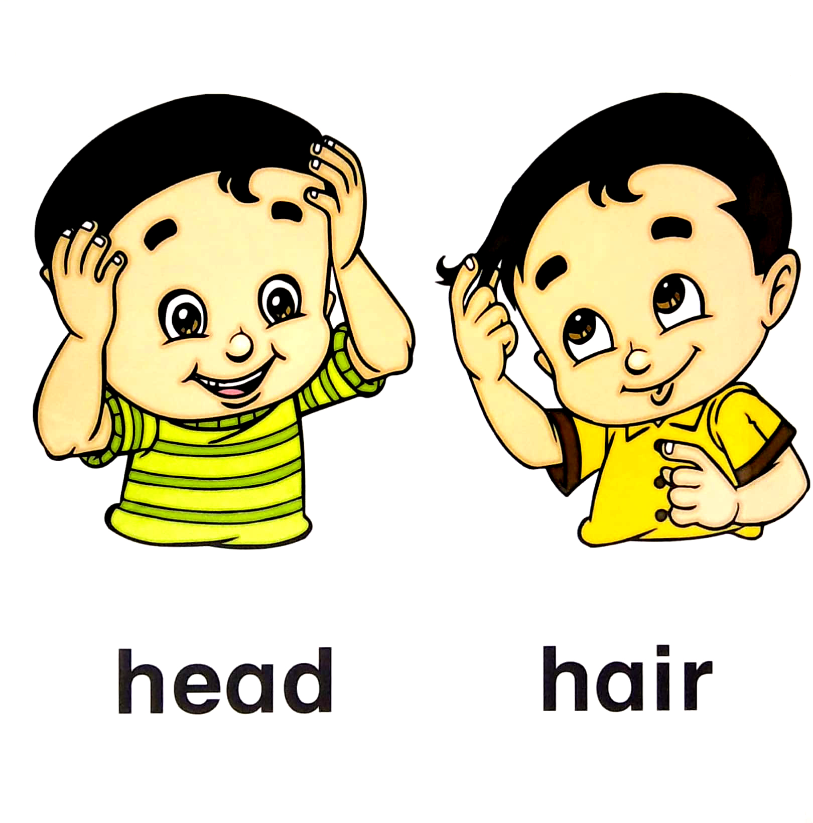 letℹs learn: my body for little hands - Ảnh 3