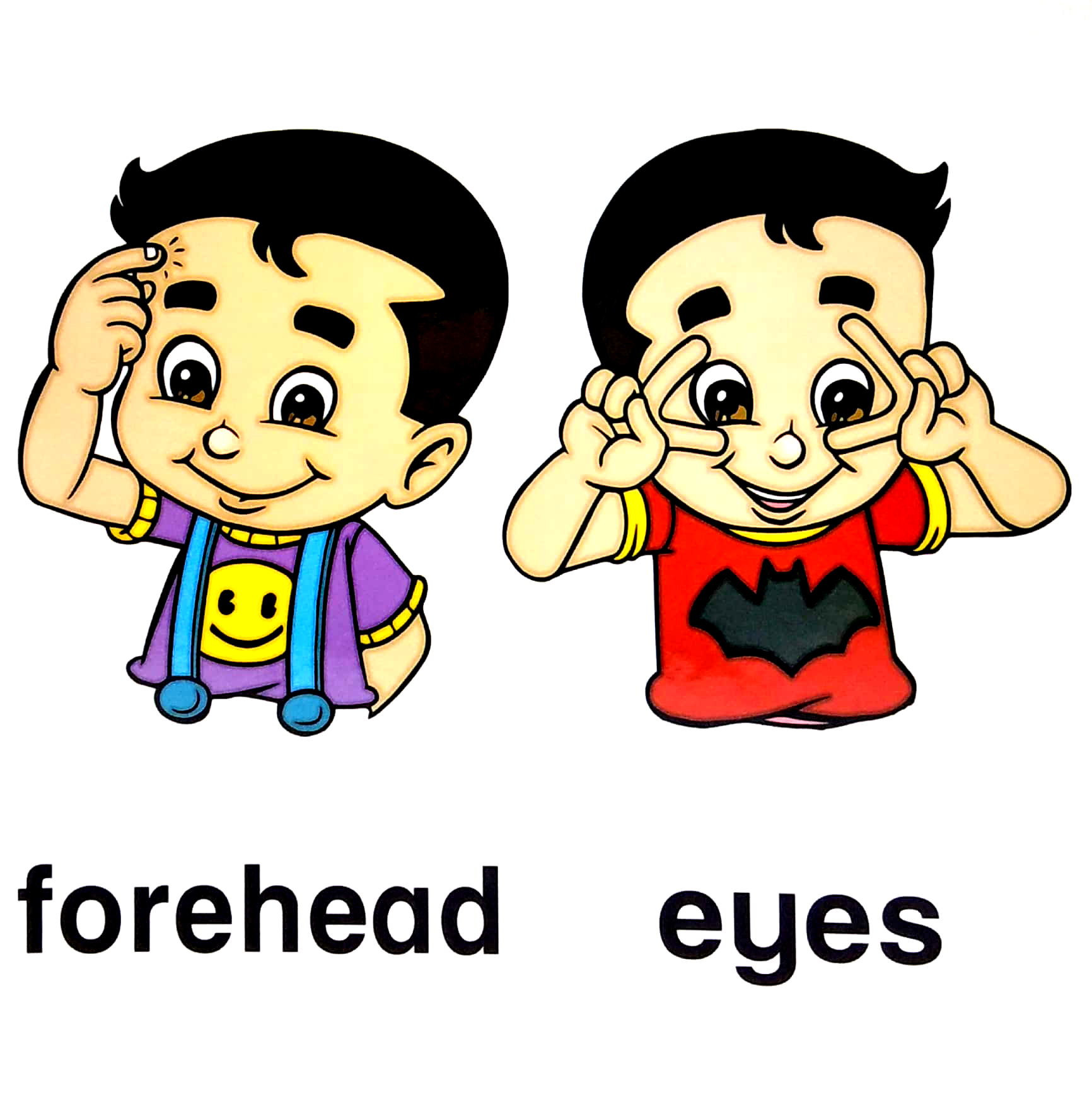 letℹs learn: my body for little hands - Ảnh 4