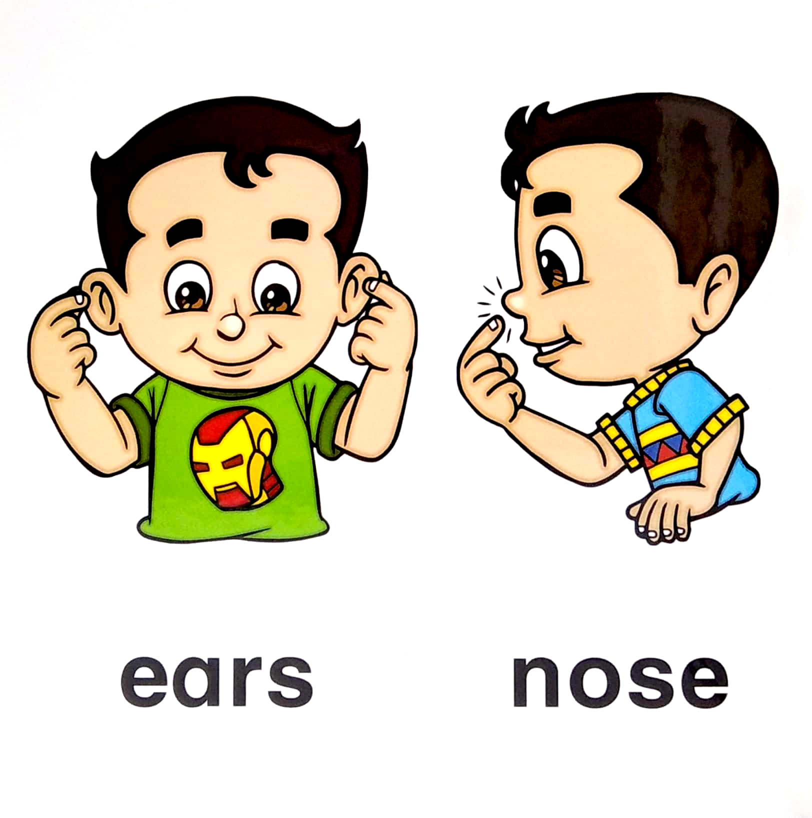 letℹs learn: my body for little hands - Ảnh 5