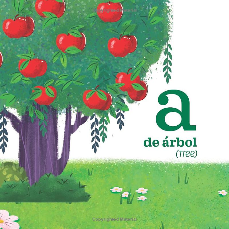 letters a to z: canticos bilingual firsts - Ảnh 6