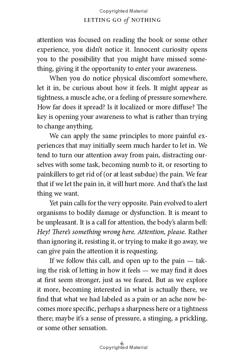 letting go of nothing: relax your mind and discover the wonder of your true nature (an eckhart tolle edition) - Ảnh 10