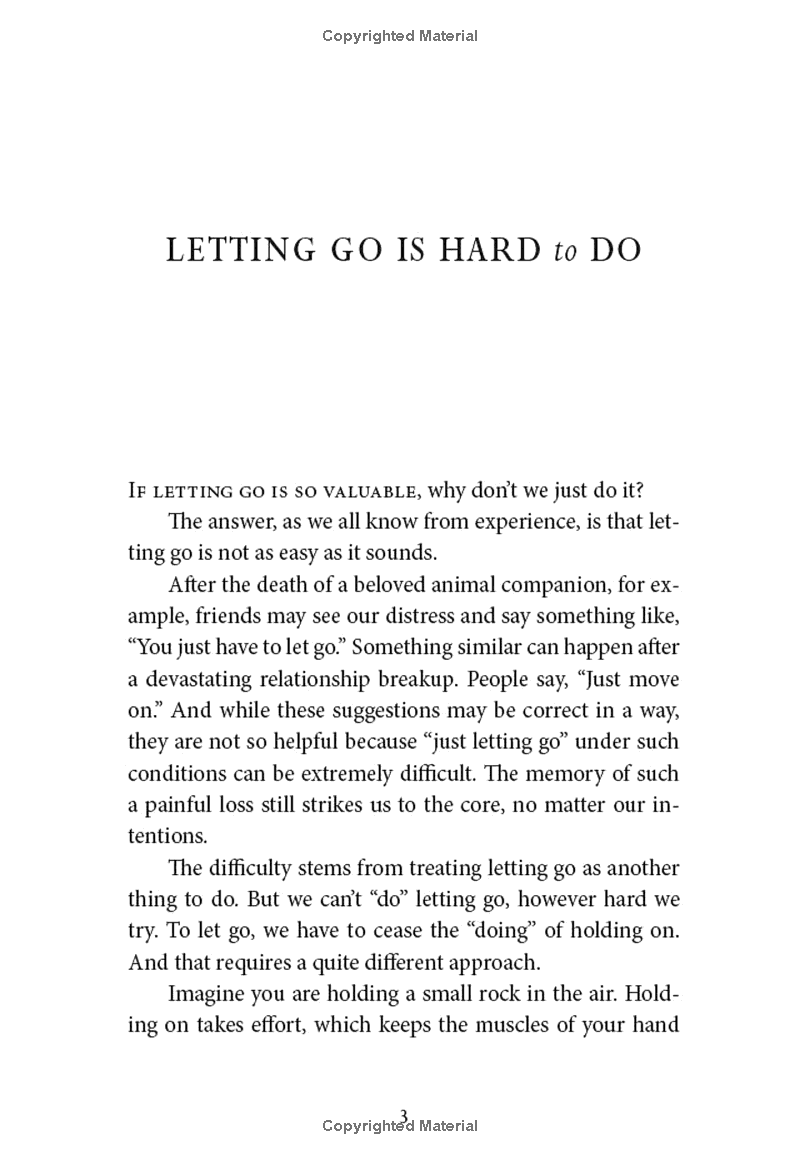 letting go of nothing: relax your mind and discover the wonder of your true nature (an eckhart tolle edition) - Ảnh 7