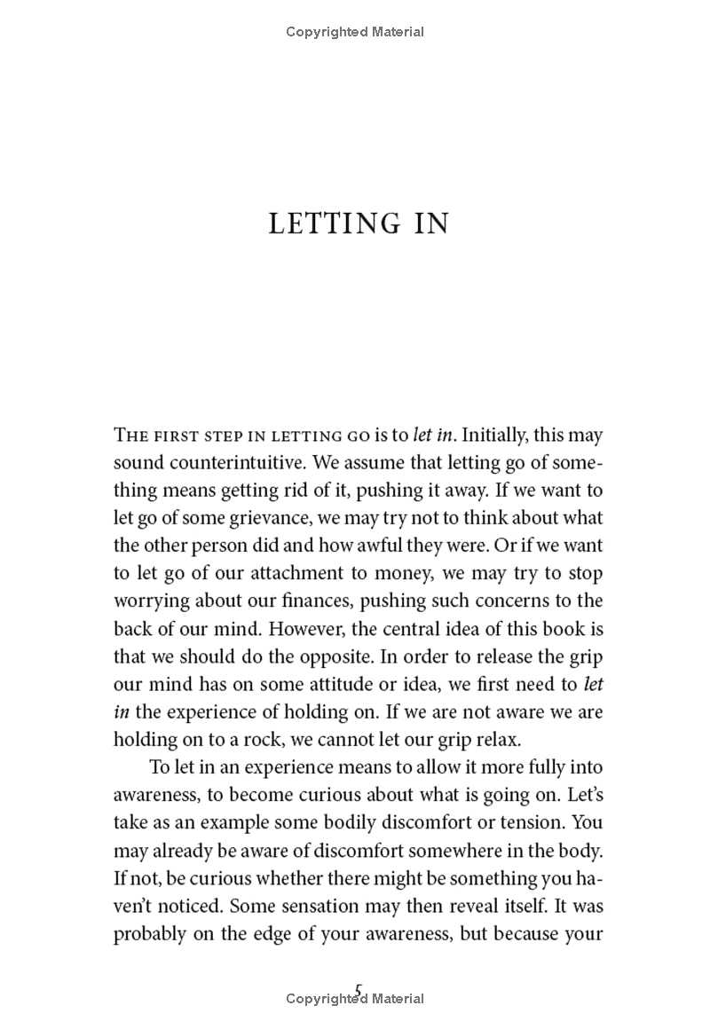 letting go of nothing: relax your mind and discover the wonder of your true nature (an eckhart tolle edition) - Ảnh 9