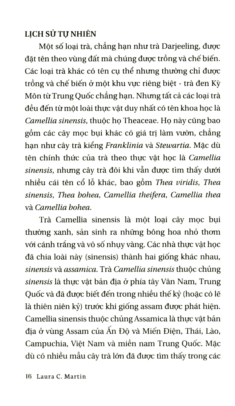 lịch sử của trà - Ảnh 4