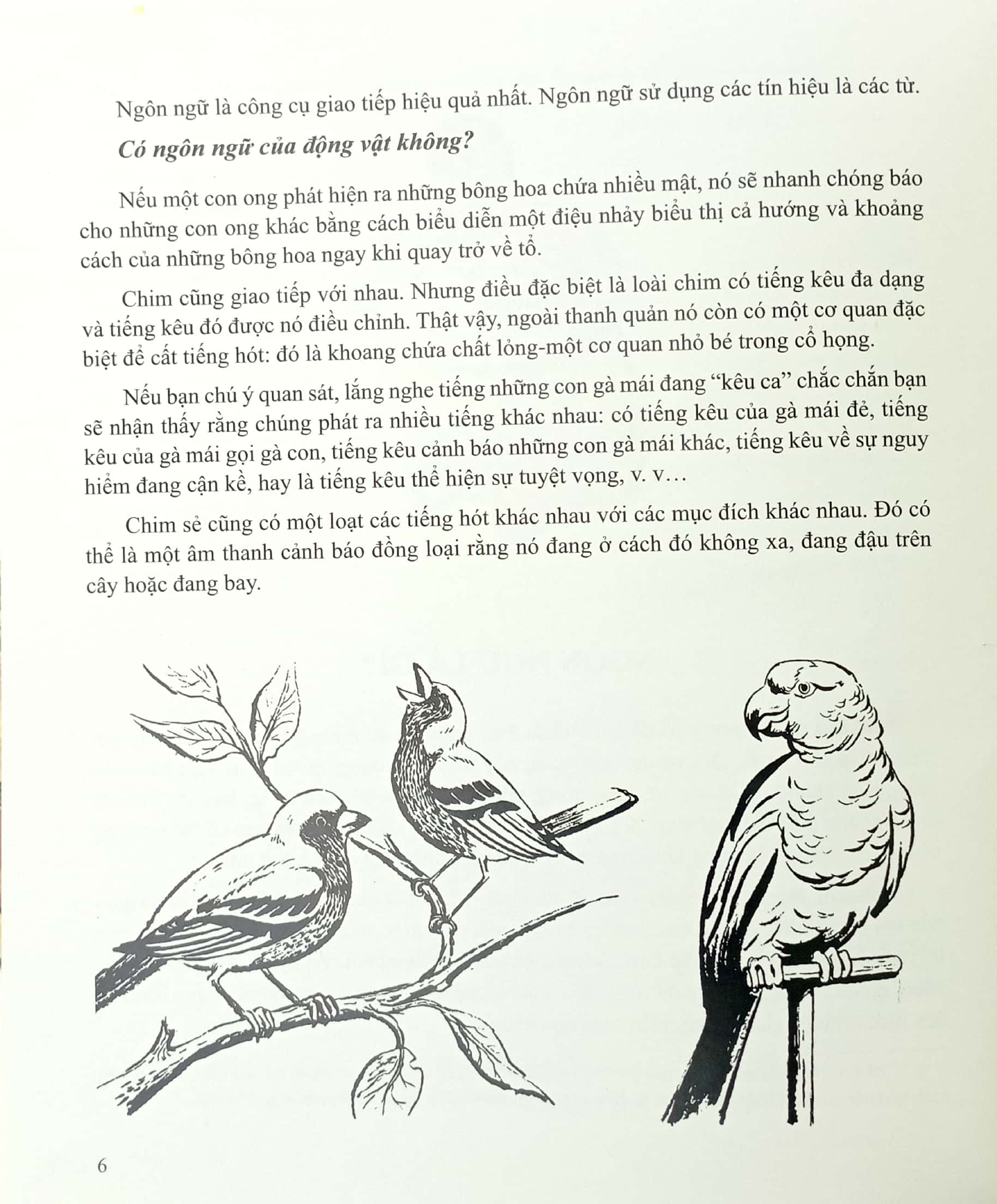 lịch sử hành trình và phát triển ngôn ngữ - bìa cứng - Ảnh 5