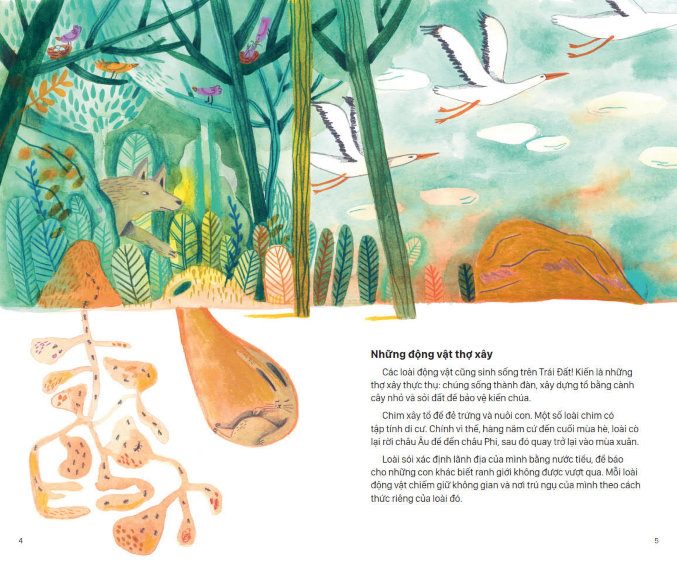 lịch sử sinh hoạt của loài người - cư trú - Ảnh 3