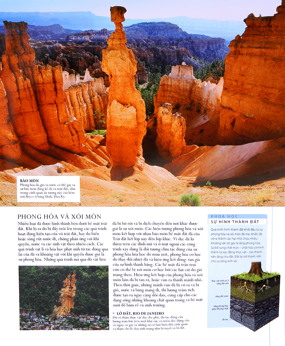 lịch sử tự nhiên - Ảnh 13