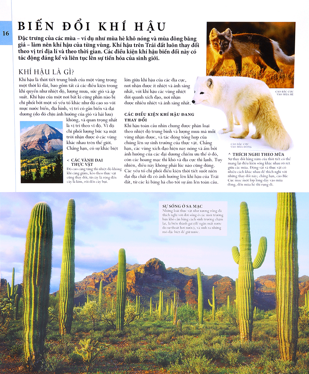 lịch sử tự nhiên - Ảnh 14