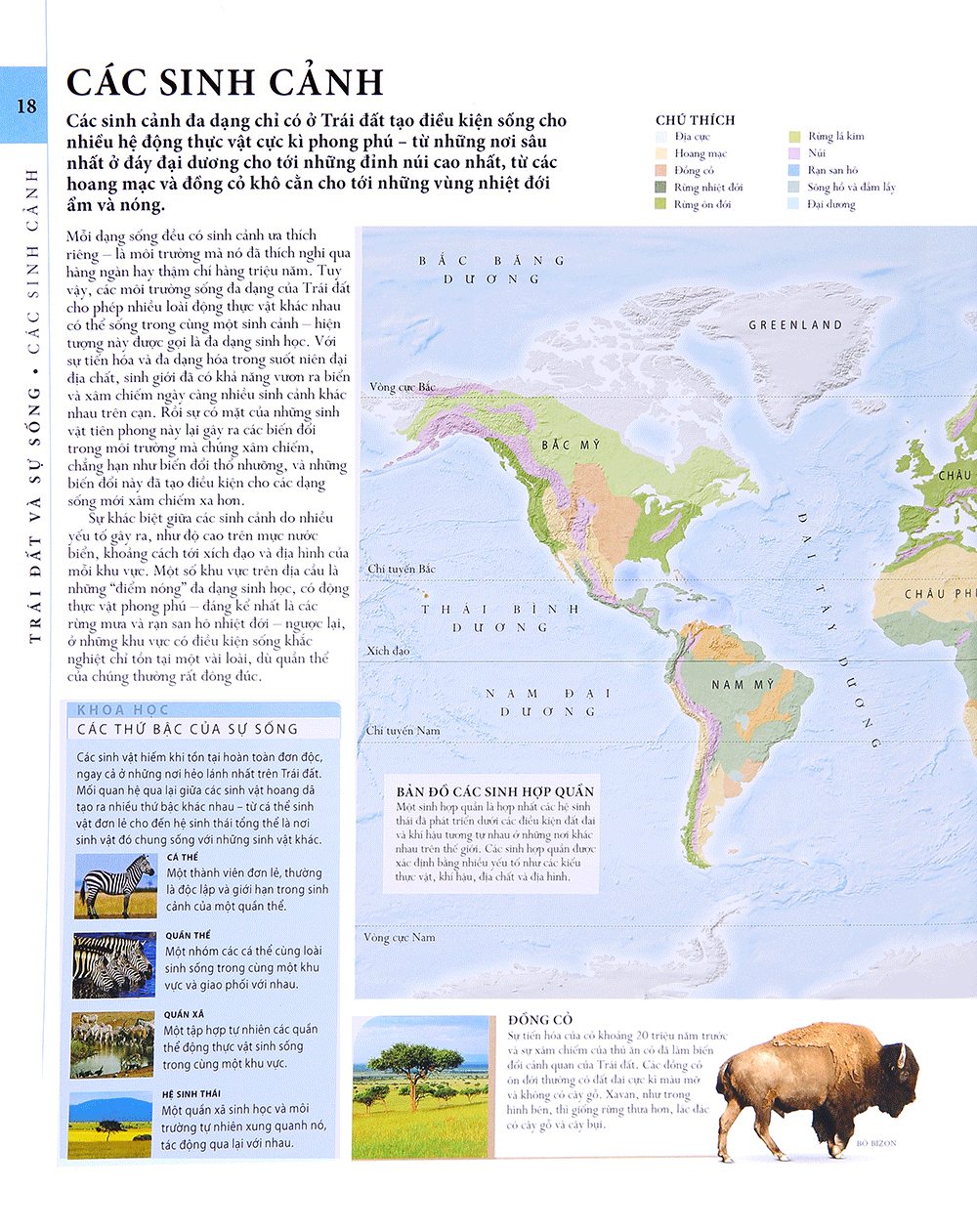 lịch sử tự nhiên - Ảnh 16