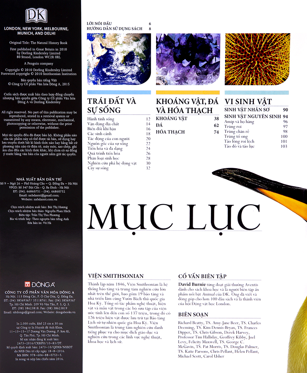 lịch sử tự nhiên - Ảnh 3