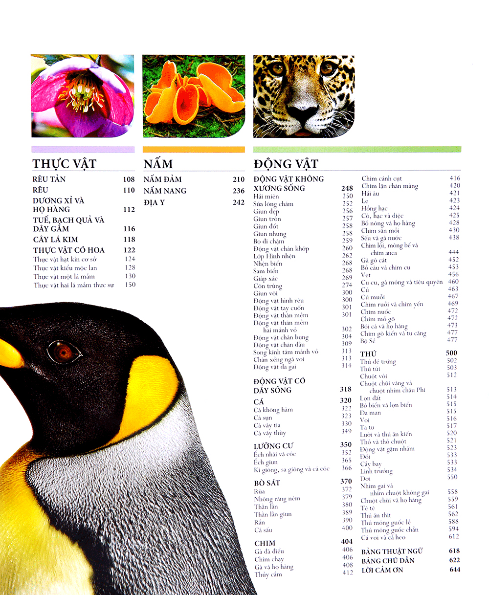 lịch sử tự nhiên - Ảnh 4